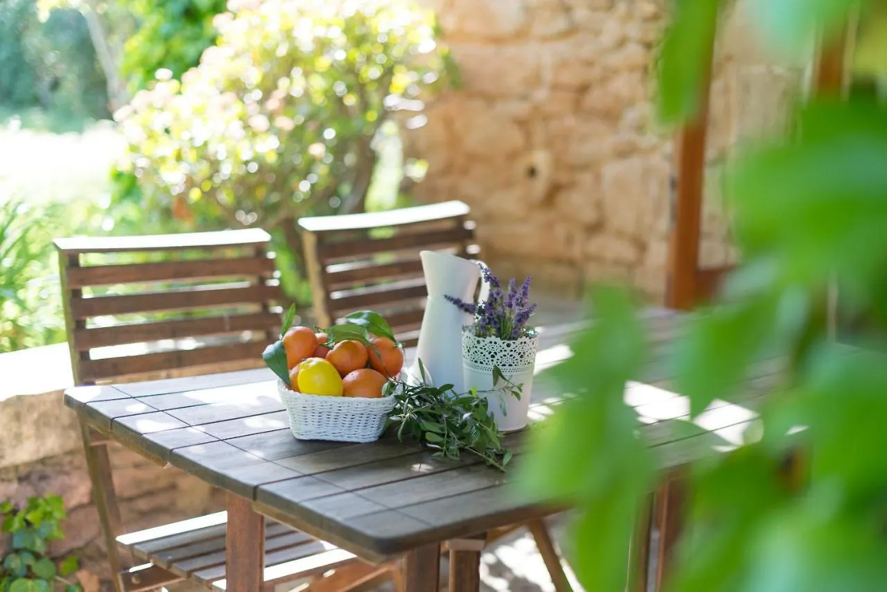 Villa Els Olivers / Olivers Petits Alcúdia