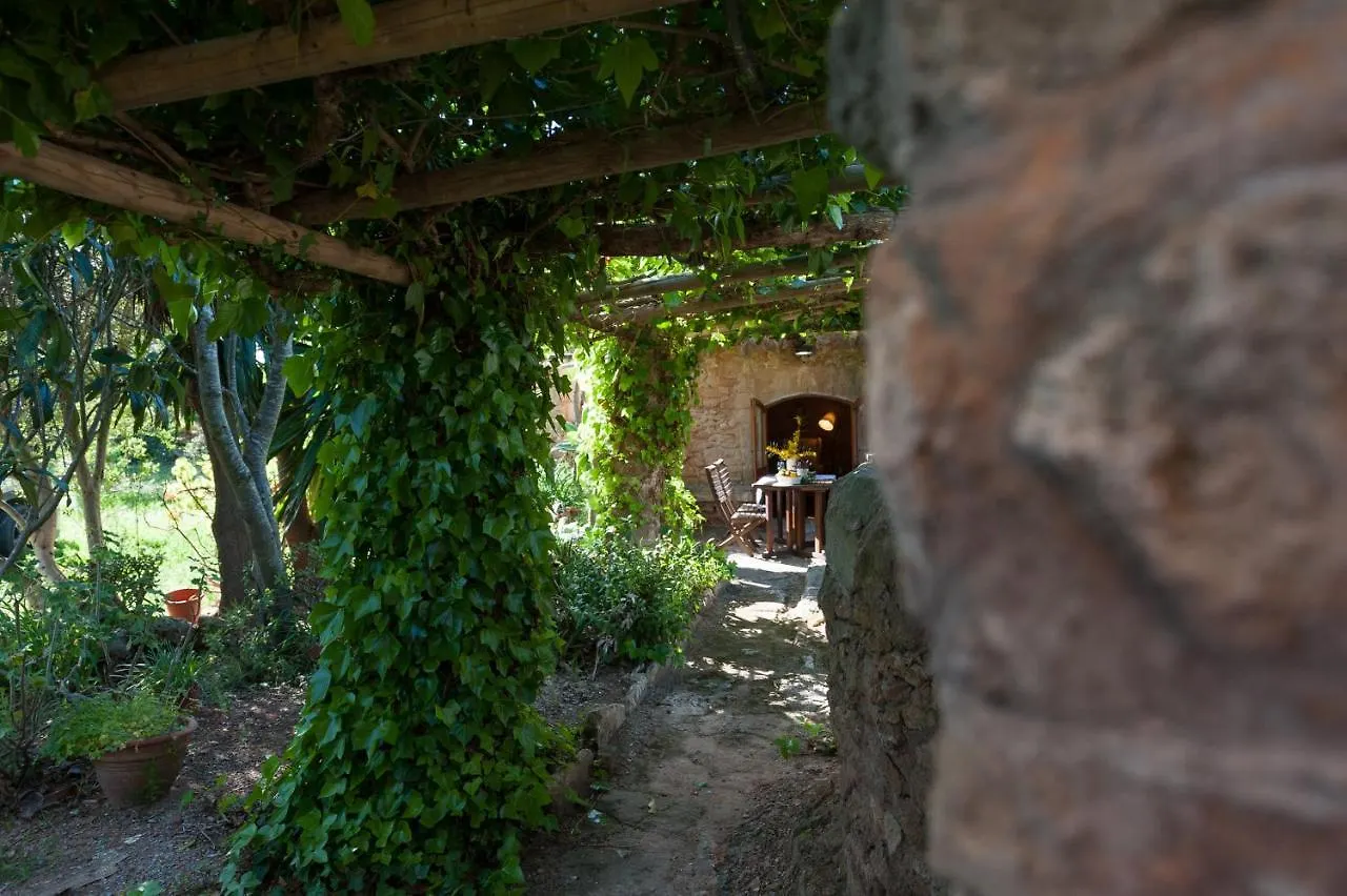 Villa Els Olivers / Olivers Petits Alcúdia