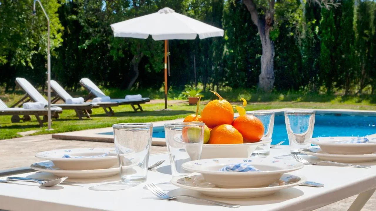 Villa Els Olivers / Olivers Petits Alcúdia
